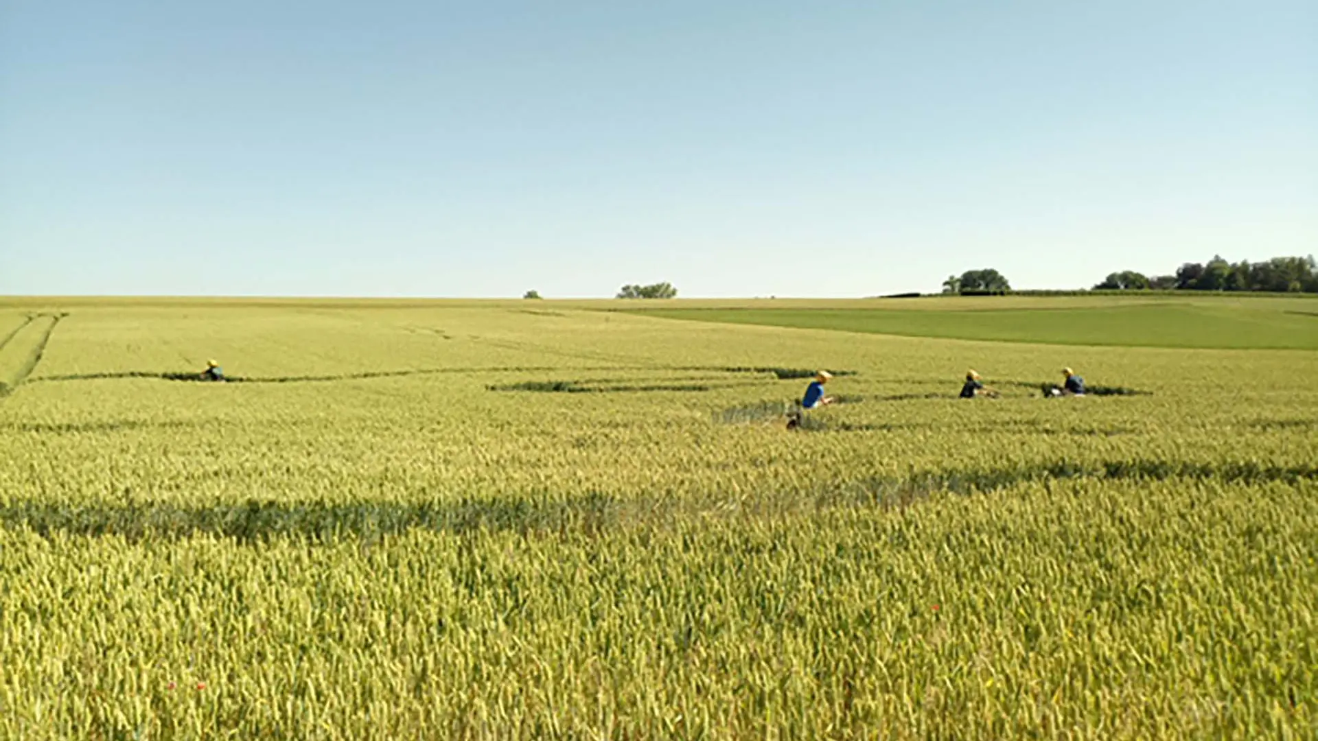 Quadrijden met 90cc race quad voor tieners en volwassenen