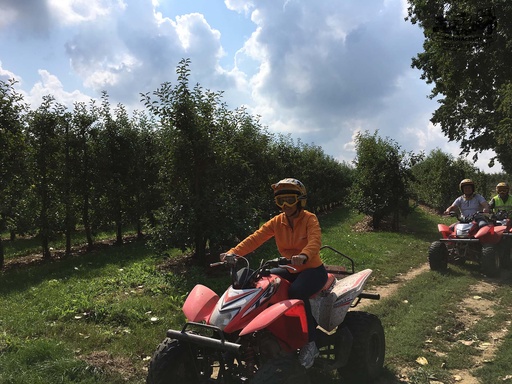 Heuvellandschap Route