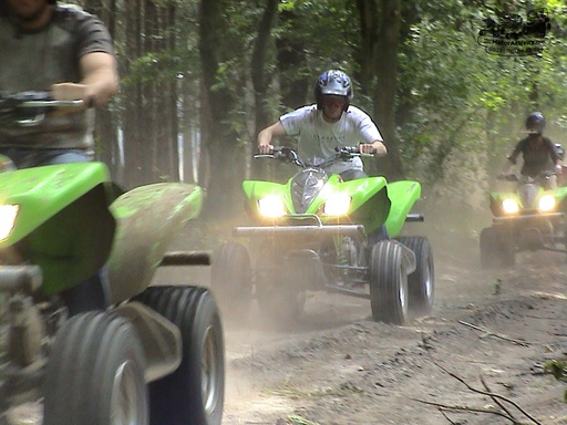 Wedelse Molen Express